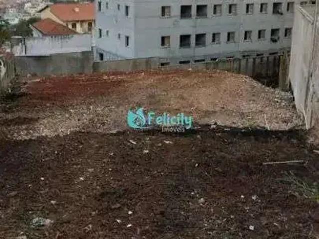 Terreno / Lote para Venda em São Paulo/SP Vila Pereira Barreto