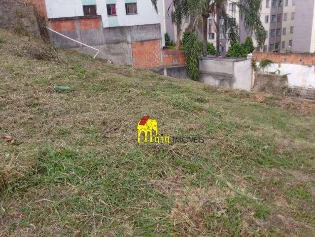Terreno / Lote para Venda em São Paulo/SP Vila Pereira Barreto