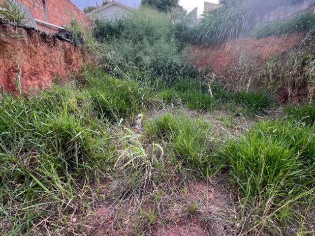 Terreno / Lote para Venda em São Paulo/SP Vila Pirajussara