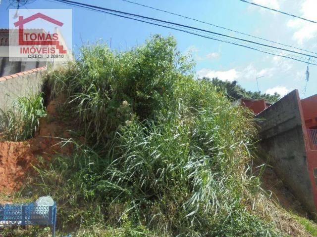 Terreno / Lote para Venda em São Paulo/SP Vila Pirituba