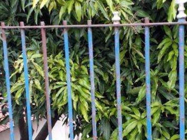 Terreno / Lote para Venda em São Paulo/SP Vila Polopoli