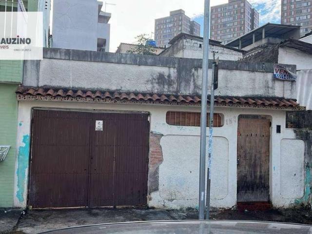 Terreno / Lote para Venda em São Paulo/SP Vila Prel