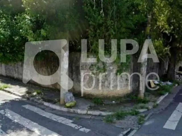 Terreno / Lote para Venda em São Paulo/SP Vila Progresso Zona Leste