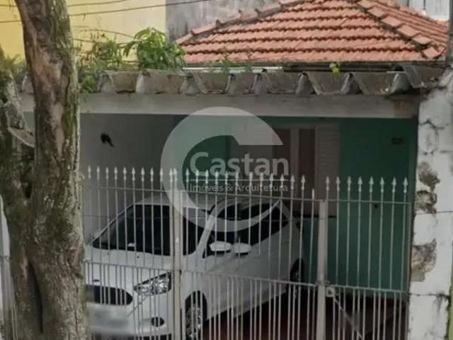 Terreno / Lote para Venda em São Paulo/SP Vila Prudente