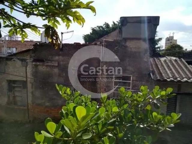 Terreno / Lote para Venda em São Paulo/SP Vila Prudente 1 Quartos