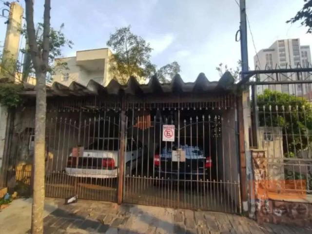 Terreno / Lote para Venda em São Paulo/SP Vila Prudente