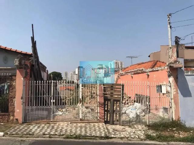 Terreno / Lote para Venda em São Paulo/SP Vila Prudente