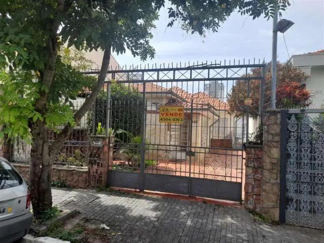 Terreno / Lote para Venda em São Paulo/SP Vila Prudente