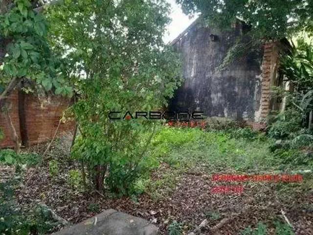 Terreno / Lote para Venda em São Paulo/SP Vila Prudente