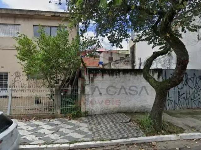 Terreno / Lote para Venda em São Paulo/SP Vila Prudente