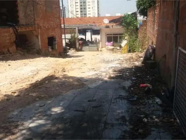 Terreno / Lote para Venda em São Paulo/SP Vila Prudente