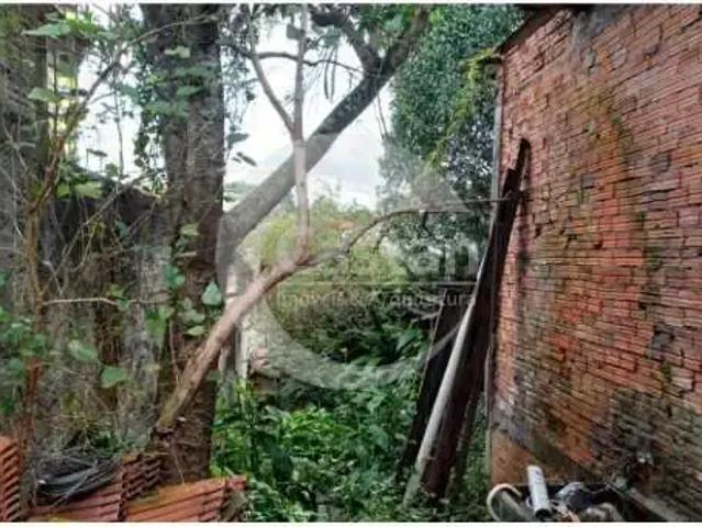 Terreno / Lote para Venda em São Paulo/SP Vila Prudente
