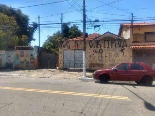 Terreno / Lote para Venda em São Paulo/SP Vila Prudente