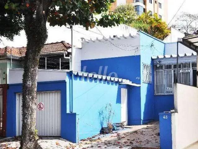 Terreno / Lote para Venda em São Paulo/SP Vila Prudente