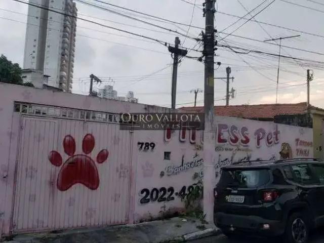Terreno / Lote para Venda em São Paulo/SP Vila Prudente