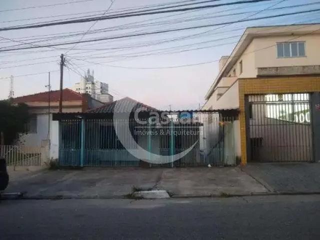 Terreno / Lote para Venda em São Paulo/SP Vila Prudente