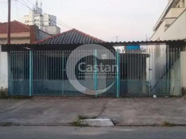 Terreno / Lote para Venda em São Paulo/SP Vila Prudente