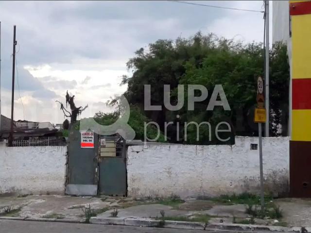 Terreno / Lote para Venda em São Paulo/SP Vila Ré