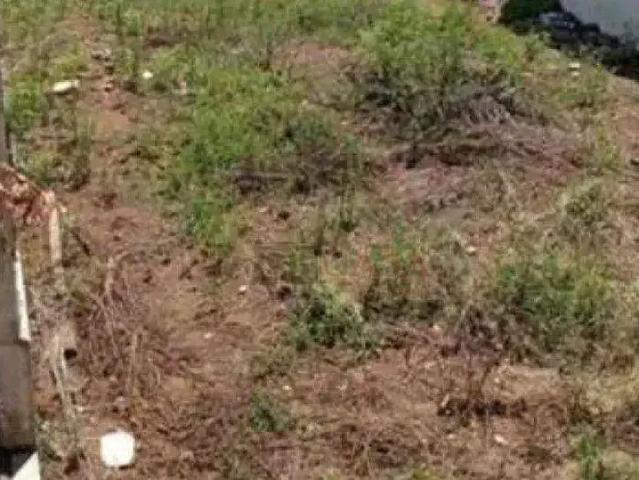 Terreno / Lote para Venda em São Paulo/SP Vila Ré