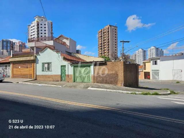 Terreno / Lote para Venda em São Paulo/SP Vila Regente Feijó