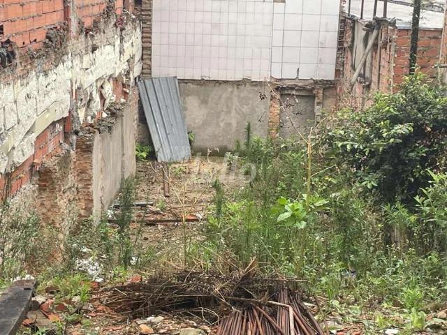 Terreno / Lote para Venda em São Paulo/SP Vila Regente Feijó