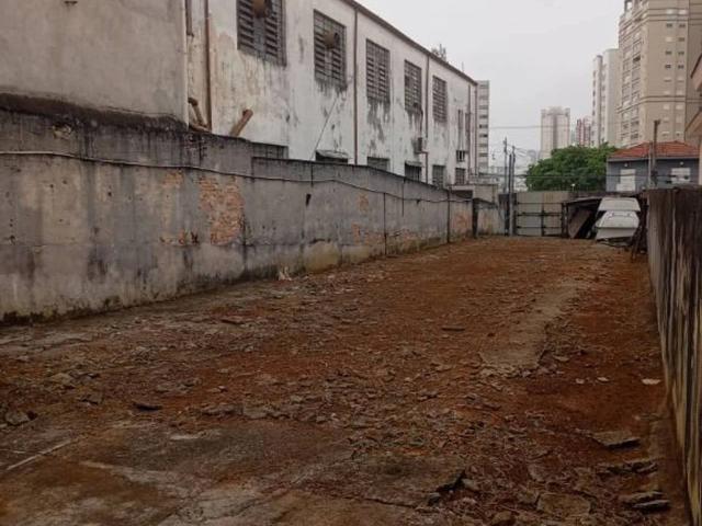 Terreno / Lote para Venda em São Paulo/SP Vila Regente Feijó