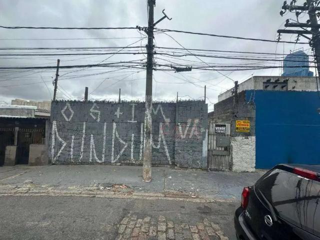 Terreno / Lote para Venda em São Paulo/SP Vila Regina Zona Leste