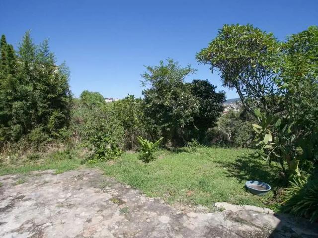 Terreno / Lote para Venda em São Paulo/SP Vila Renato Zona Norte