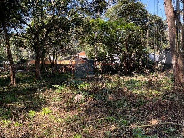 Terreno / Lote para Venda em São Paulo/SP Vila Represa