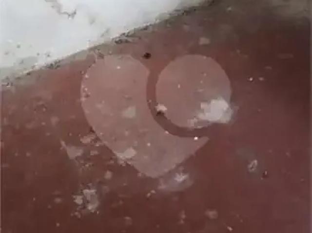Terreno / Lote para Venda em São Paulo/SP Vila Romana 1 Quartos