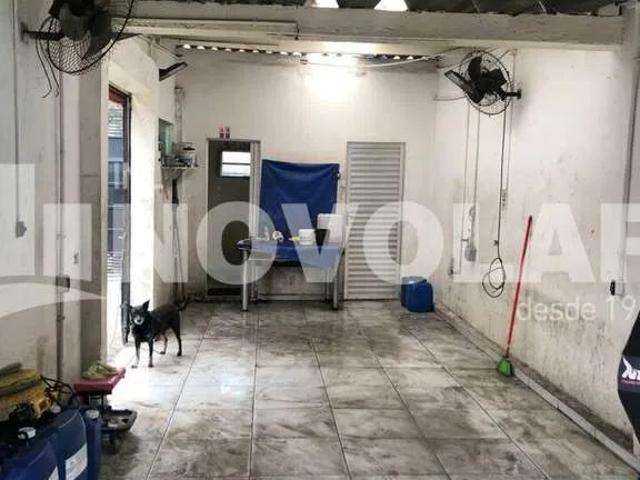 Terreno / Lote para Venda em São Paulo/SP Vila Romero