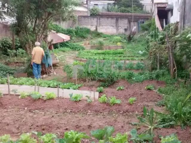 Terreno / Lote para Venda em São Paulo/SP Vila Rosa