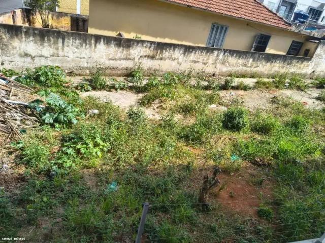 Terreno / Lote para Venda em São Paulo/SP Vila Rosária