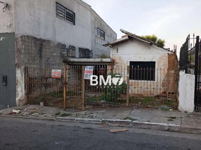 Terreno / Lote para Venda em São Paulo/SP Vila Rosária