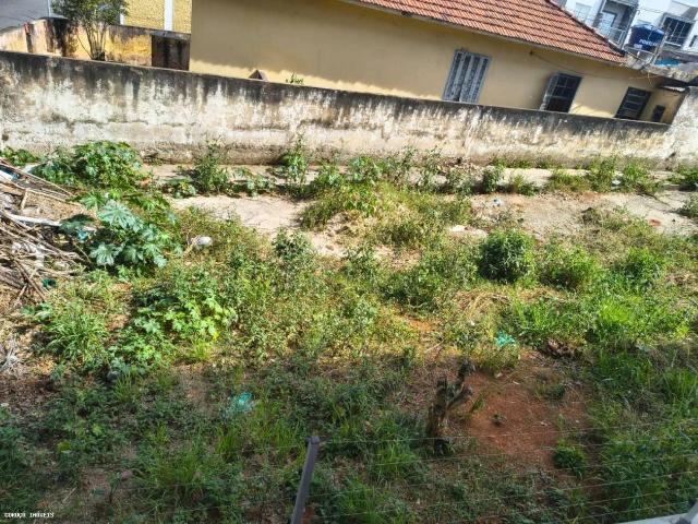 Terreno / Lote para Venda em São Paulo/SP Vila Rosária