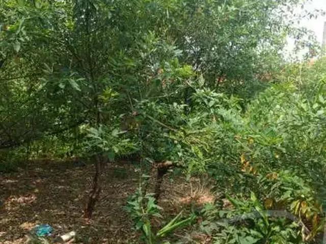 Terreno / Lote para Venda em São Paulo/SP Vila São Francisco