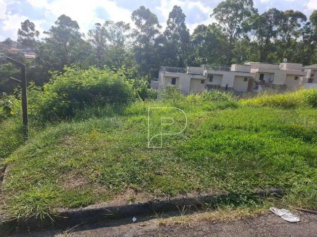 Terreno / Lote para Venda em São Paulo/SP Vila São Francisco