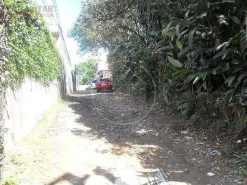 Terreno / Lote para Venda em São Paulo/SP Vila São José