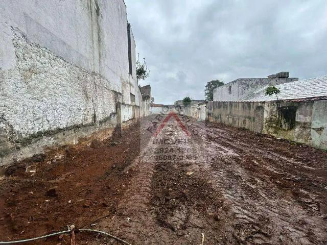 Terreno / Lote para Venda em São Paulo/SP Vila São Pedro
