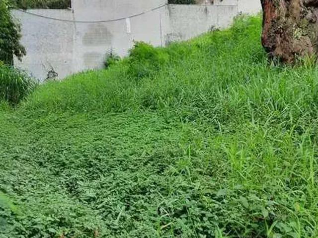 Terreno / Lote para Venda em São Paulo/SP Vila São Silvestre