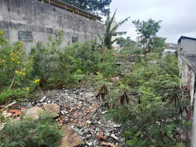 Terreno / Lote para Venda em São Paulo/SP Vila Santa Catarina
