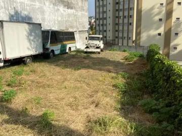 Terreno / Lote para Venda em São Paulo/SP Vila Santa Catarina