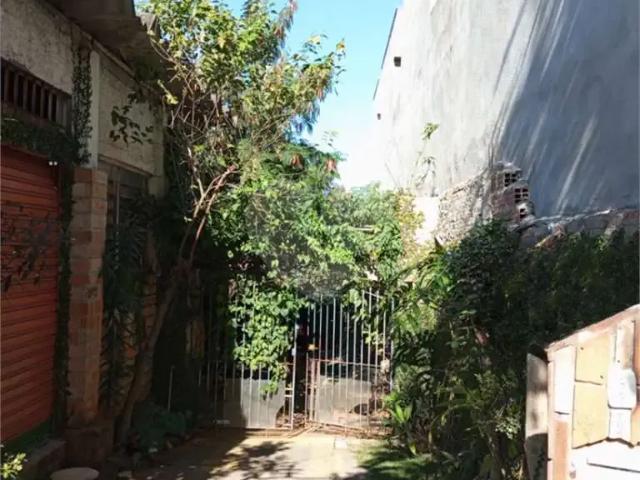Terreno / Lote para Venda em São Paulo/SP Vila Santa Terezinha Zona Norte