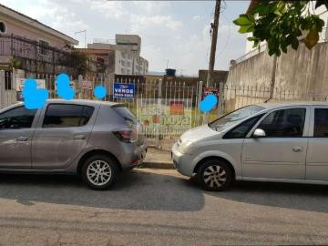 Terreno / Lote para Venda em São Paulo/SP Vila Santa Terezinha Zona Norte