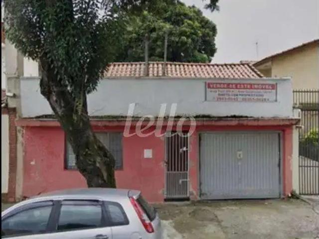 Terreno / Lote para Venda em São Paulo/SP Vila Santana