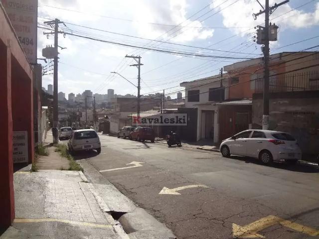 Terreno / Lote para Venda em São Paulo/SP Vila Santo Estéfano