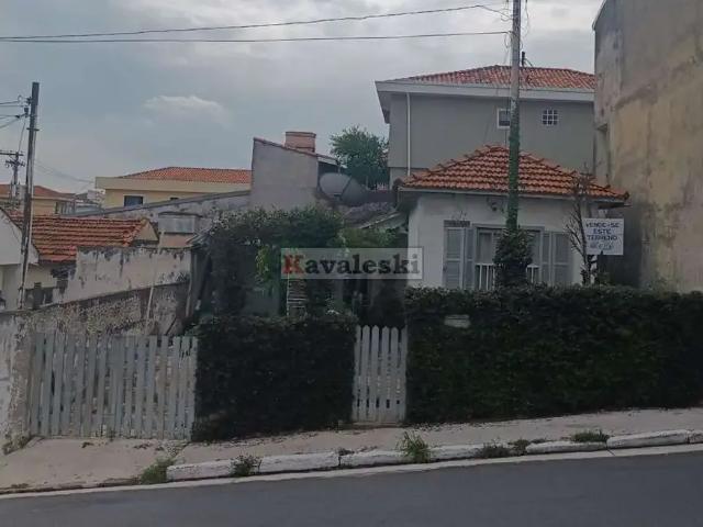 Terreno / Lote para Venda em São Paulo/SP Vila Santo Estéfano