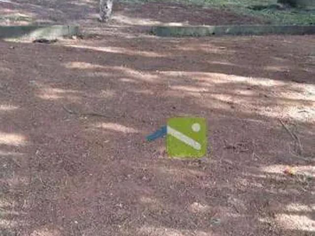 Terreno / Lote para Venda em São Paulo/SP Vila Sônia