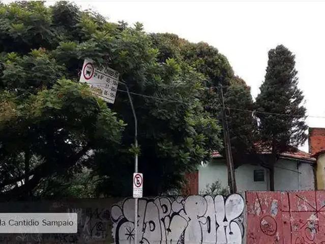 Terreno / Lote para Venda em São Paulo/SP Vila Souza