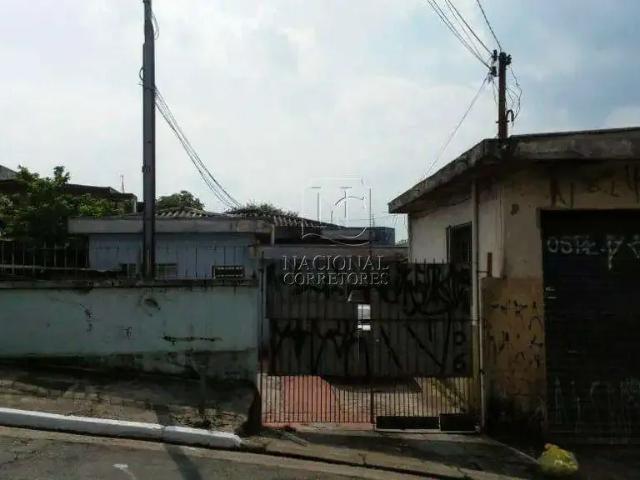 Terreno / Lote para Venda em São Paulo/SP Vila Tolstoi